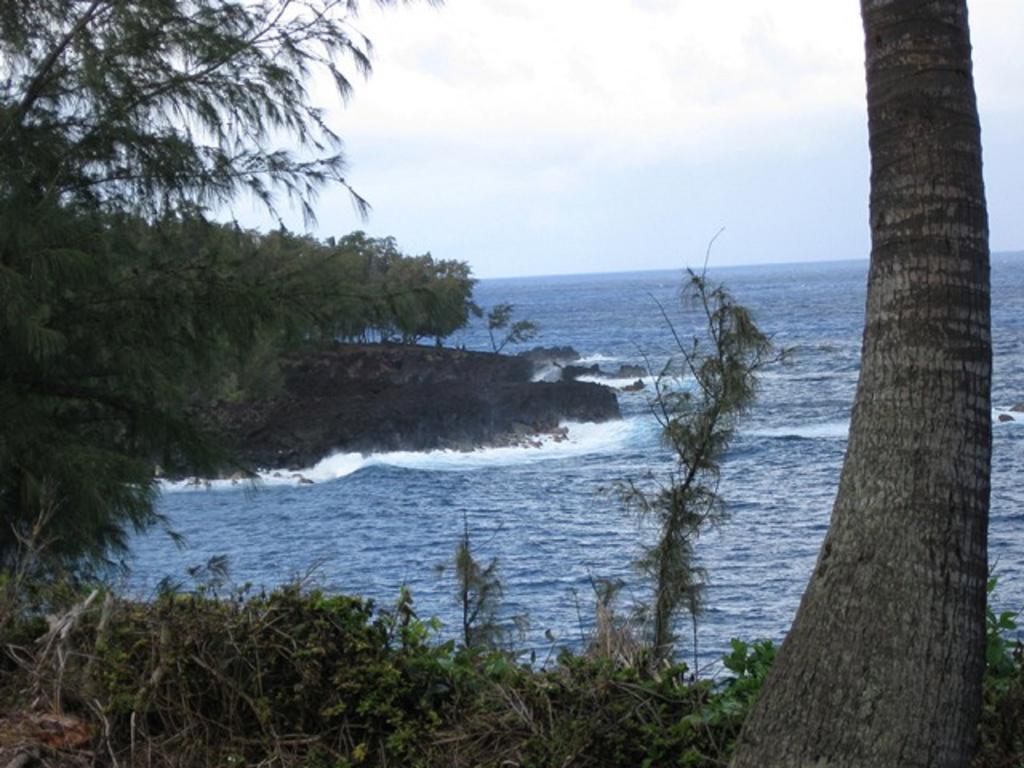 Coconut Palms Vacation Rental Near Lava Fields And Beaches Kehena 외부 사진