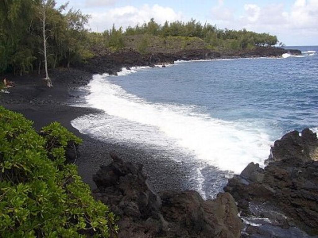 Coconut Palms Vacation Rental Near Lava Fields And Beaches Kehena 외부 사진