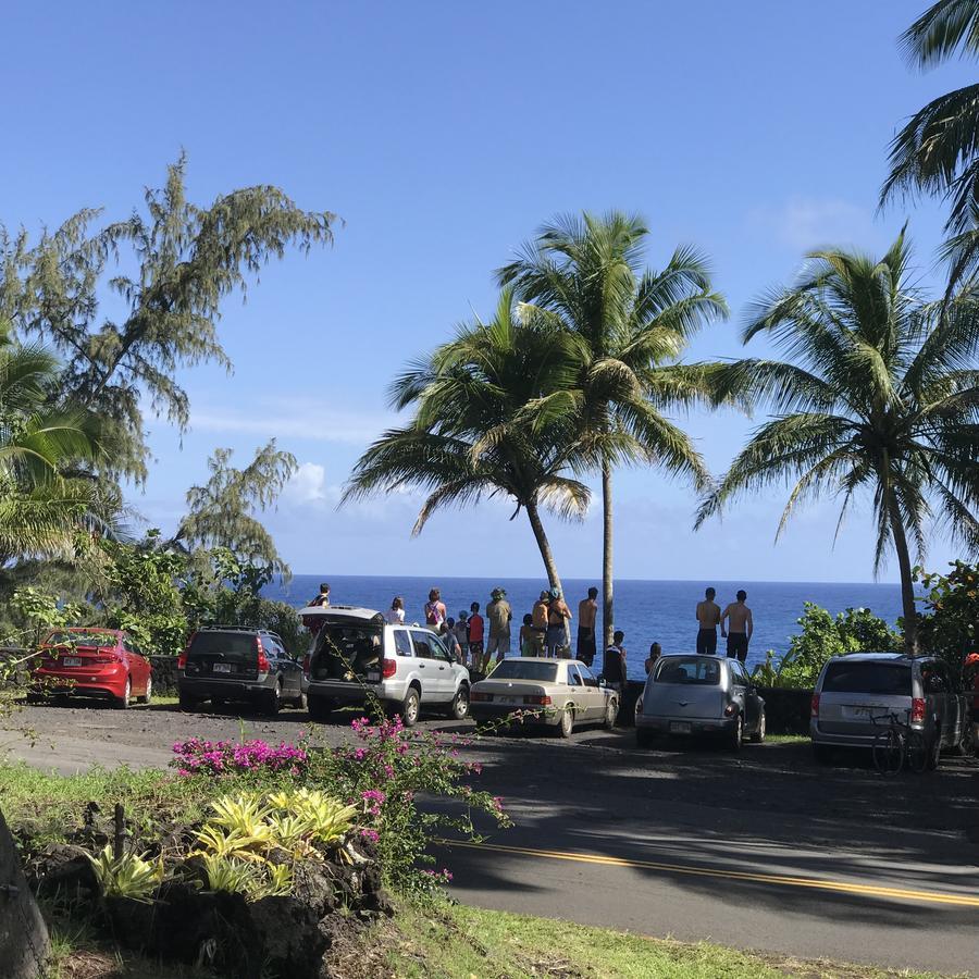 Coconut Palms Vacation Rental Near Lava Fields And Beaches Kehena 외부 사진