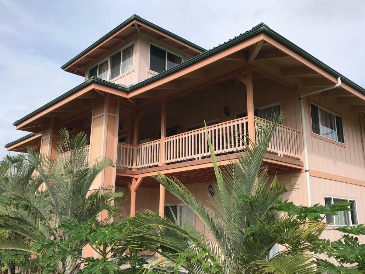 Coconut Palms Vacation Rental Near Lava Fields And Beaches Kehena 외부 사진