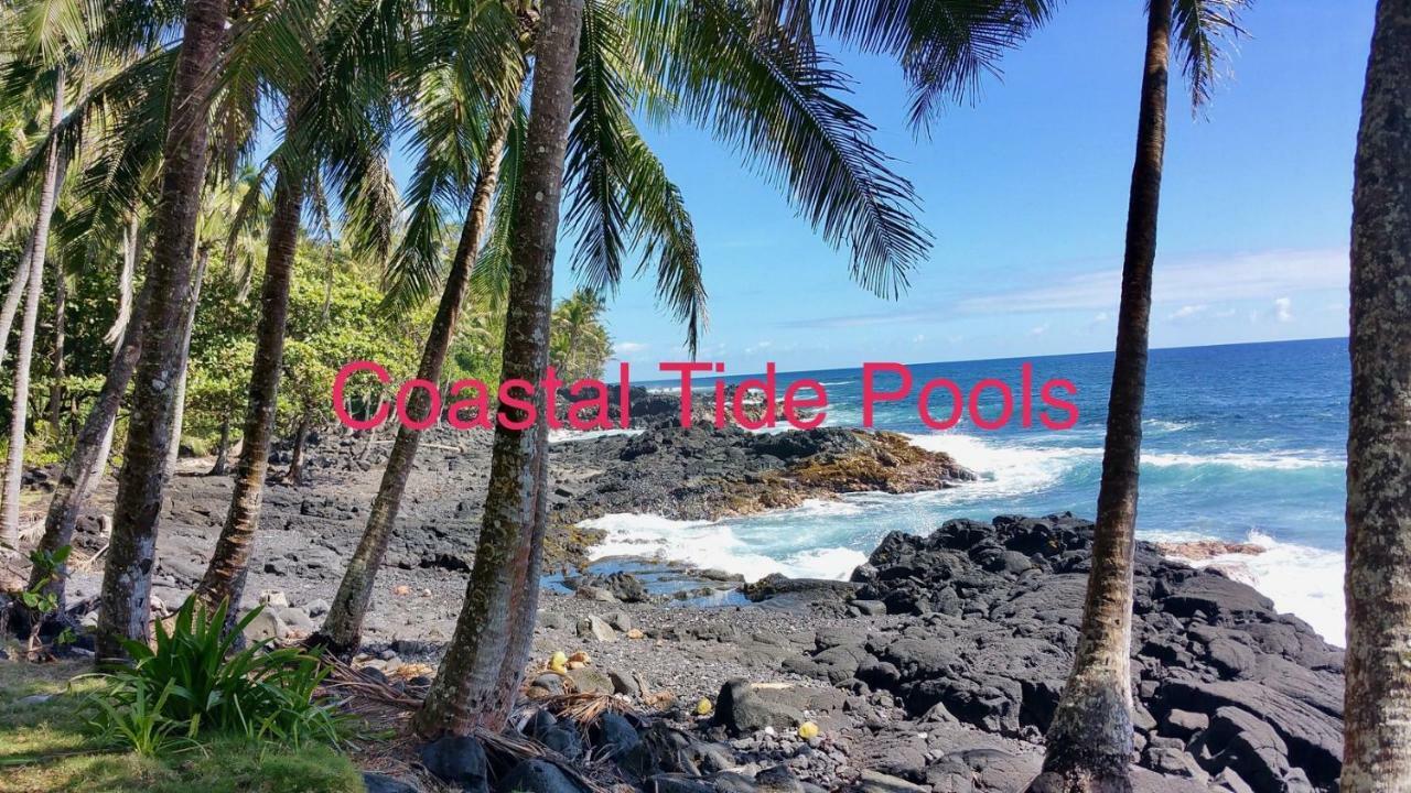 Coconut Palms Vacation Rental Near Lava Fields And Beaches Kehena 외부 사진